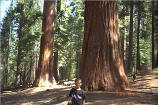 small_9400 0654 wdc yosemite ca hiImg0016.webp